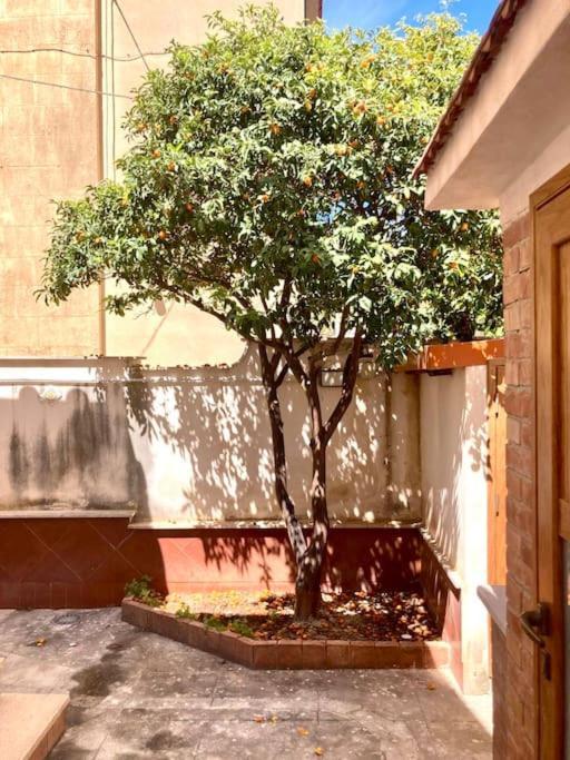 Villa Orlando Mondello باليرمو المظهر الخارجي الصورة